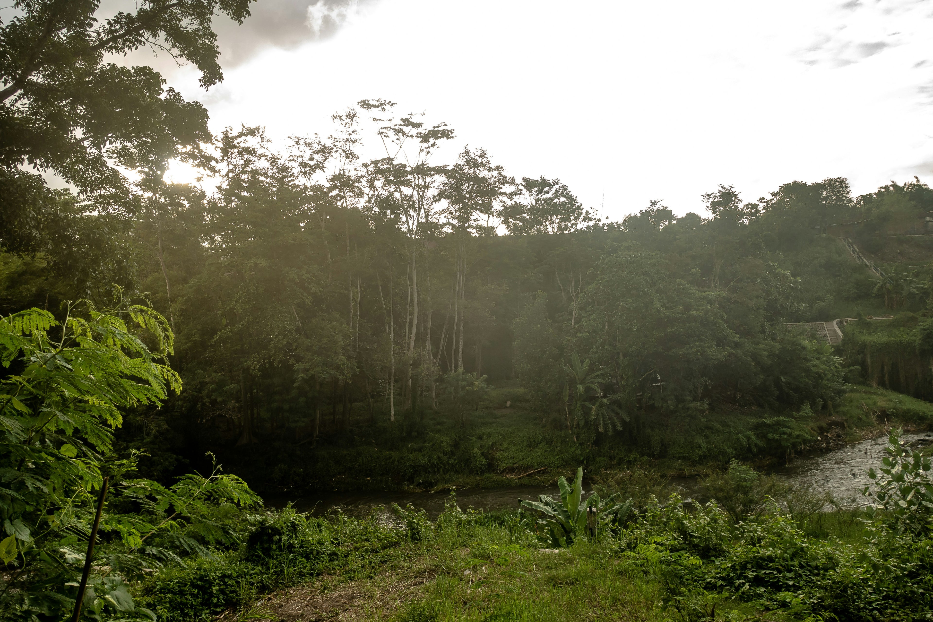 Amazon Rainforest Virtual Eco-Expedition Training